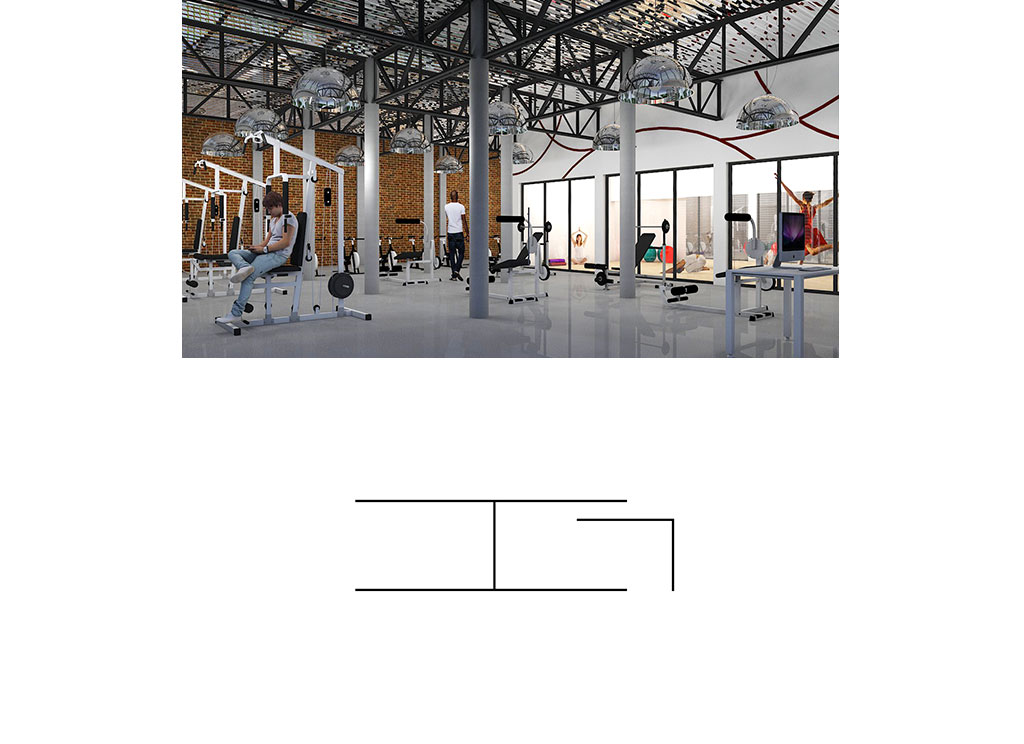 new life gym 2017